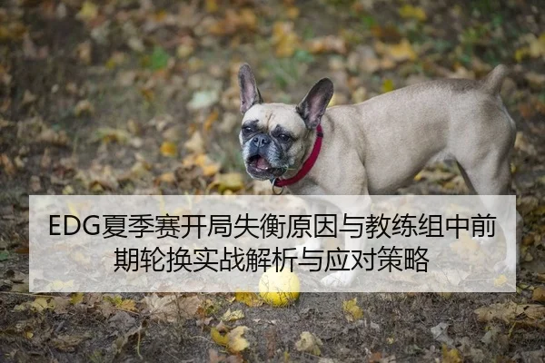 EDG夏季赛开局失衡原因与教练组中前期轮换实战解析与应对策略